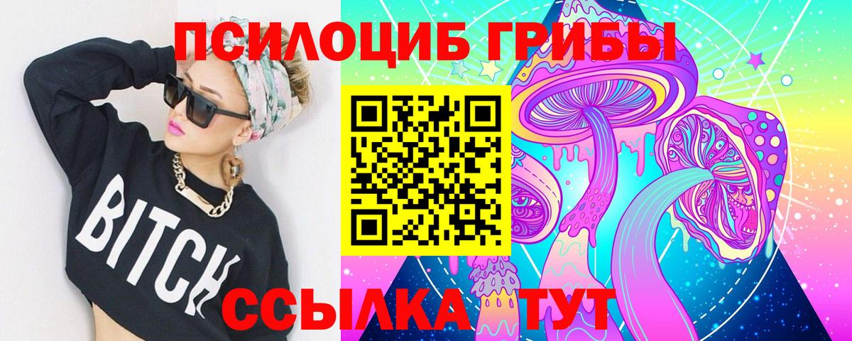 Галлюциногенные грибы Cubensis Кашира